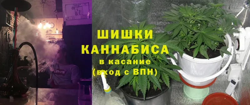 Марихуана THC 21%  купить наркотики сайты  Сольвычегодск 